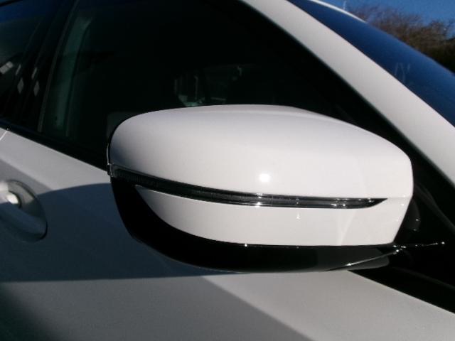 ���S�������[�����Ă���܂�