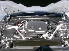 �����꡼�� �������䡡���ģ����塡�ͥ��ݡ��ġ��������ס�����ե����ȥɥ饤�ӥ󥰣Уˣ� 9200410A30251004W001 5