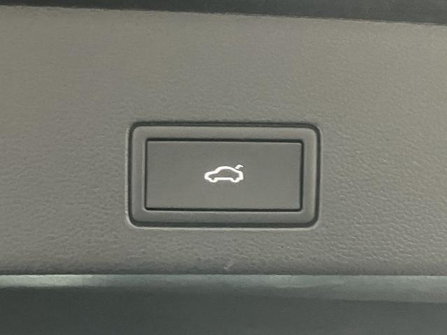 ゴルフRヴァリアント アドバンス 認定中古車 純正ナビ ETC Bカメラ 本革レザーシート シートベンチレーション シートヒーター パワーテールゲート 衝突軽減ブレーキ アダクディブクルーズ ブラインドスポットモニター(38枚目)