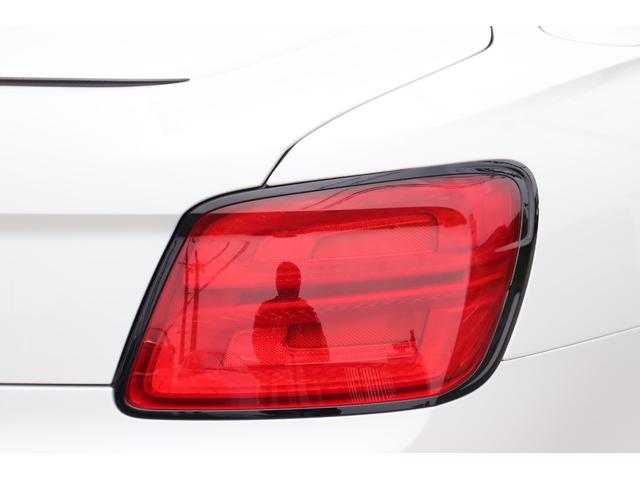 フライングスパー V8 アズール 4WD マリナーSpc/ブラックラインSpc/カーボン/(17枚目)