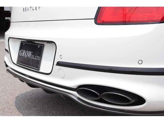 フライングスパー V8 アズール 4WD マリナーSpc/ブラックラインSpc/カーボン/(23枚目)