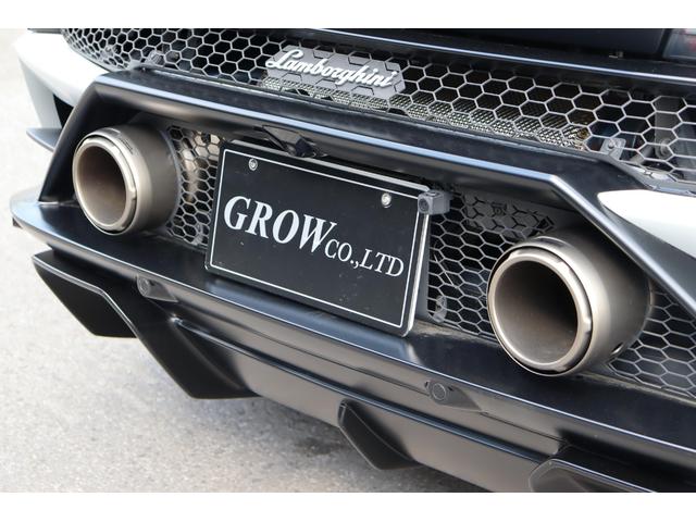 ウラカン EVO RWDスパイダー (LDF) アクラポヴィッチ/ドライバーズ・pkg/PPF(19枚目)