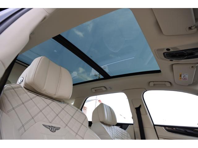 �p�m���}�T�����[�t�A���U�[���[�t���C�i�[