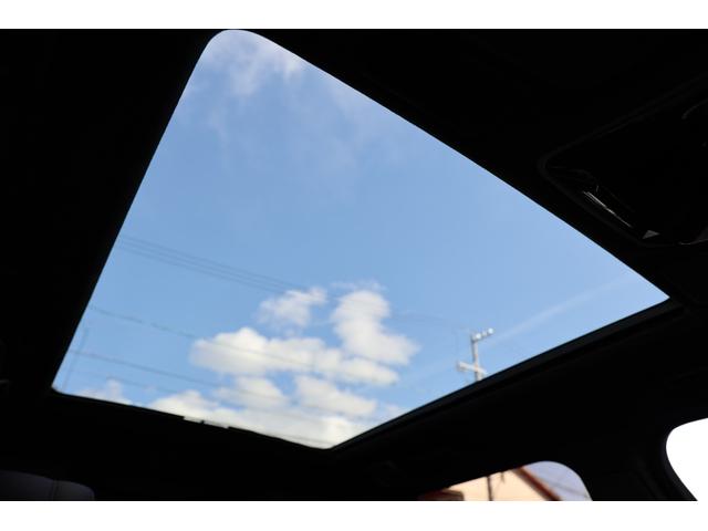 �J�������ӂ��p�m���}�K���X���[�t�B�X�G�[�h�N���X���[�t���C�i�[������