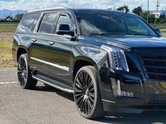 ǥå졼 ţӣ 9200423A30251030W002 2