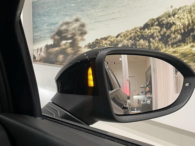 ������p���m�@�\�i�u���C���h�X�|�b�g�f�B�N�V�����j