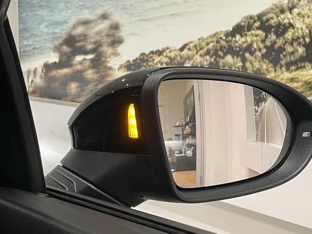 ������p���m�@�\�i�u���C���h�X�|�b�g�f�B�N�V�����j