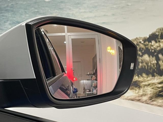 �u���C���h�X�|�b�g�f�B�N�V�����i������p���m�@�\�j