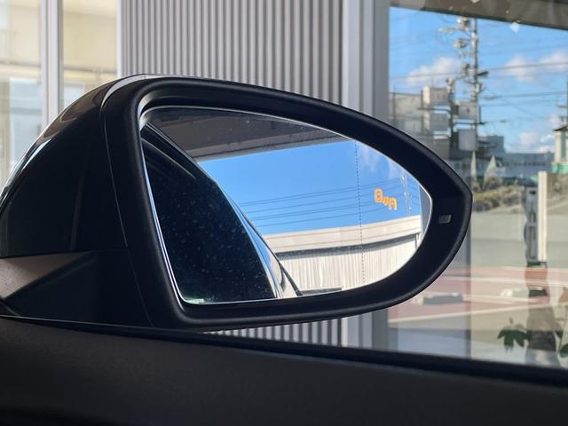 ������p���m�@�\�i�u���C���h�X�|�b�g�f�B�N�V�����j