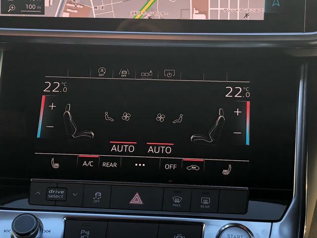 55TFSI4WDSラインHDマトリクスドライビングP(15枚目)