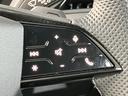 ＴＦＳＩ　１１０ｋＷ　元デモカー／テクノロジーパッケージプロ／Ｓラインパッケージ／１９インチアルミ／レザー＆Ｓヒーター／サラウンドビューモニター／ステアリングヒーター／パーシャルレザー／認定中古車（33枚目）