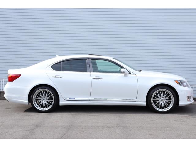 �k�d�c�A�_�v�e�B�u�w�b�h���C�g�E�k�d�c�t�H�O�J�X�^���E���C�g�����Y�̓N�X�~���Ȃ������Y��ȏ�Ԃł��I�I