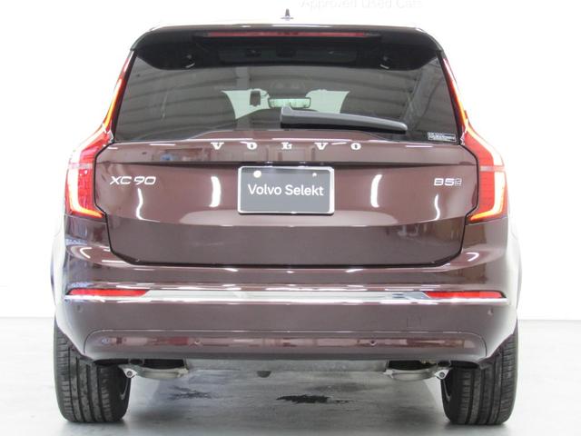 ��ڂŃ{���{�Ƃ킩�鎋�F���̍����c���̃e�[�����C�g�B