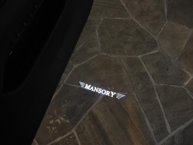 レイス ベースグレード MANSORYボディーキッド/V6 22インチホイール ツインコーチライン ロアリングキッド ブラックアウト スターライト RRヘッドレス刺繍 コントラスステッチ ピアノブラックパネル(28枚目)