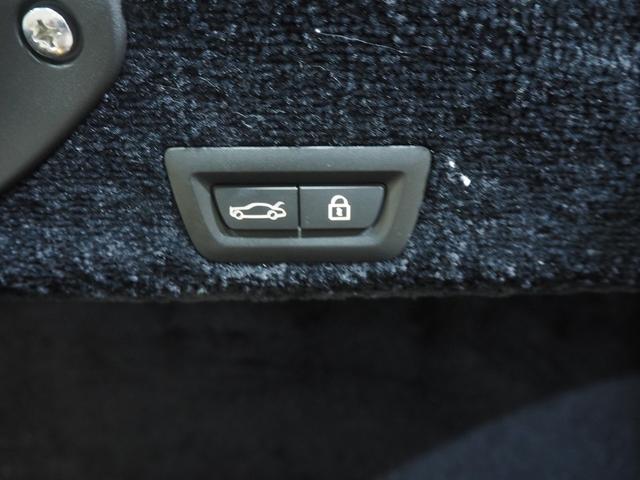 レイス ベースグレード MANSORYボディーキッド/V6 22インチホイール ツインコーチライン ロアリングキッド ブラックアウト スターライト RRヘッドレス刺繍 コントラスステッチ ピアノブラックパネル(45枚目)