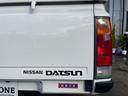 NISSAN DATSUN TRUCK