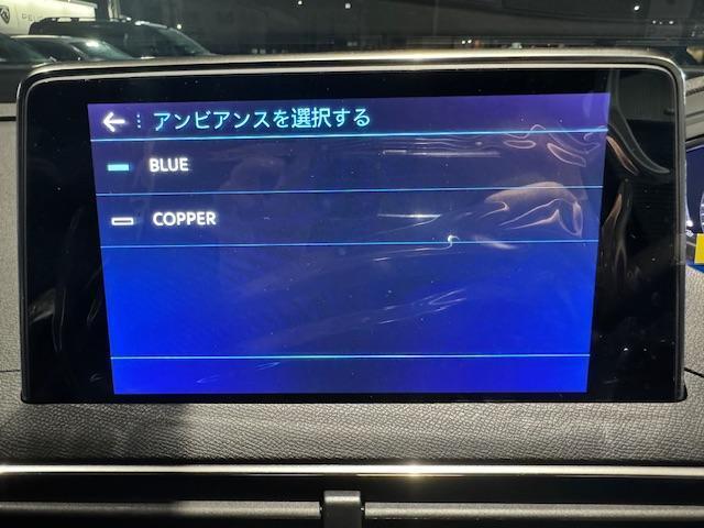 ＧＴ　新車保証継承／電動テールゲート／追従型クルーズコントロール／フロントシートヒーター／運転席パワーシート／サンルーフ装備(38枚目)