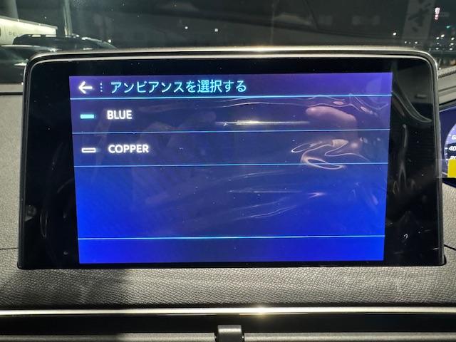 ３００８ ＧＴ　新車保証継承／電動テールゲート／追従型クルーズコントロール／フロントシートヒーター／運転席パワーシート／サンルーフ装備（42枚目）