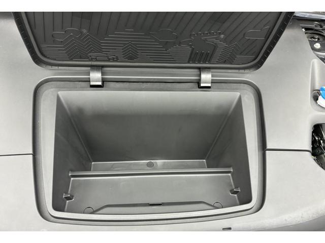 ＥＸ３０ ウルトラシングルモーター　エクステンデッドレンジ　Ｇｏｏｇｌｅインフォテイメントシステム　ｈａｒｍａｎ／ｋａｒｄｏｎプレミアムサウンドシステム　アダプティブクルーズコントロール　パノラマガラスサンルーフ　前後ドライブレコーダー（45枚目）