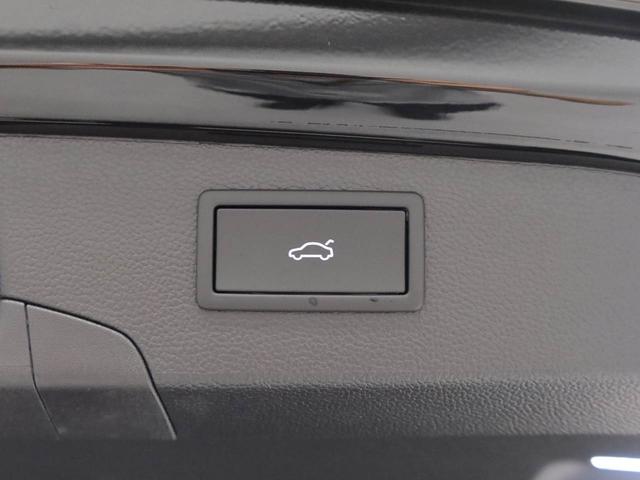 パサート eTSI エレガンス 認定中古車 レザーシート パワーシート シートヒーター ベンチレーション DCC Pro アラウンドビューカメラ IQ.LIGHT パワーテールゲート(30枚目)