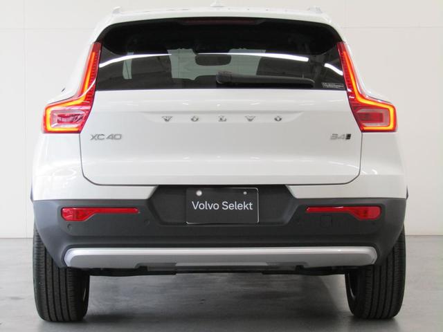 ��ڂŃ{���{�ƕ����鎋�F���̍����c���̃e�[�����C�g�B