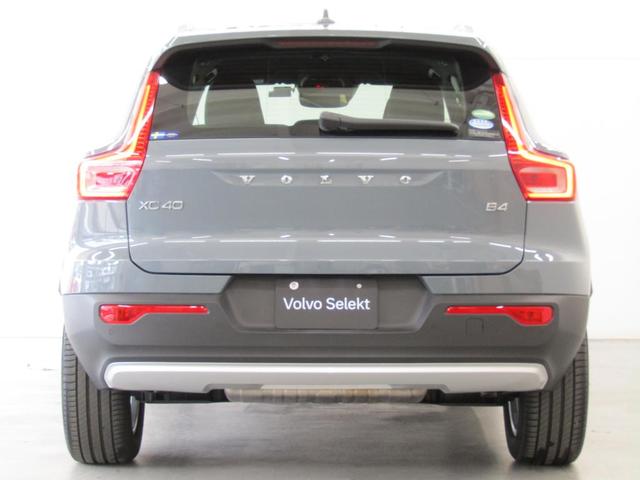 ��ڂŃ{���{�ƕ����鎋�F���̍����c���̃e�[�����C�g�B