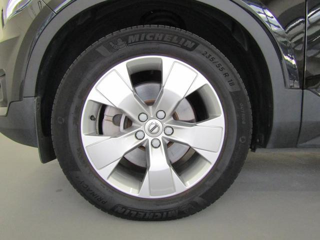 �P�W�C���`�A���~�z�C�[��