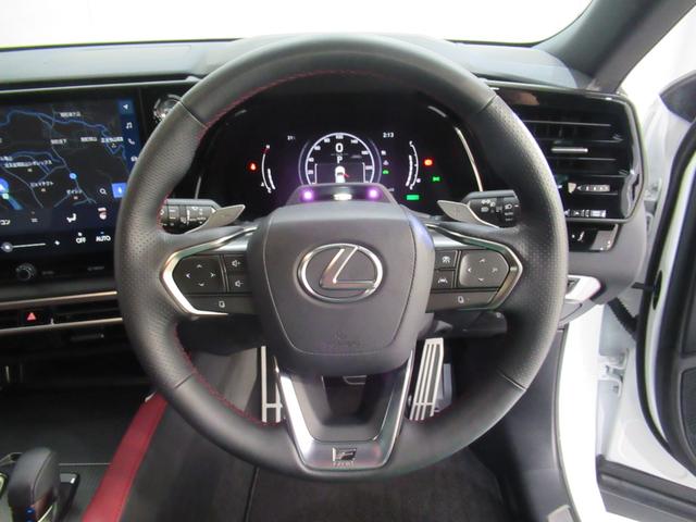 RX RX500h Fスポーツパフォーマンス レクサス認定中古車CPO ルーフレール パノラマルーフ 輻射ヒーター ロングラケージマット スポーティーエアロパッケージ(16枚目)