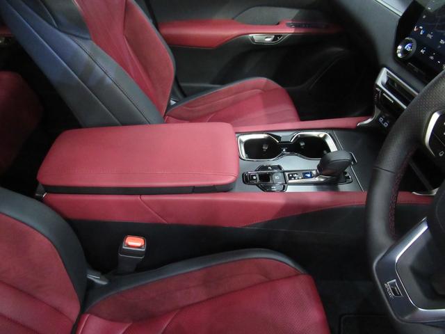 RX RX500h Fスポーツパフォーマンス レクサス認定中古車CPO ルーフレール パノラマルーフ 輻射ヒーター ロングラケージマット スポーティーエアロパッケージ(23枚目)