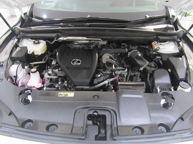 RX RX500h Fスポーツパフォーマンス レクサス認定中古車CPO ルーフレール パノラマルーフ 輻射ヒーター ロングラケージマット スポーティーエアロパッケージ(33枚目)
