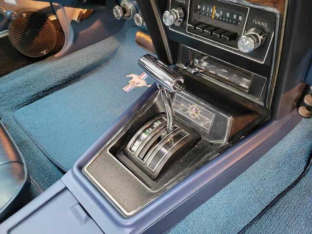 マスタング COV 整備済み車 実働車(24枚目)