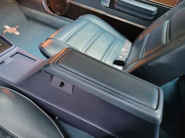 マスタング COV 整備済み車 実働車(25枚目)