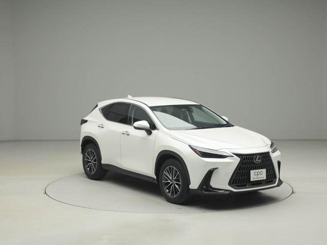 NX NX250 バージョンL CPOレクサス認定中古車 パノラミックビューモニター デジタルインナミラー(25枚目)