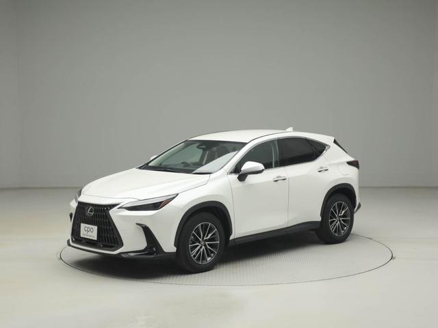 NX NX250 バージョンL CPOレクサス認定中古車 パノラミックビューモニター デジタルインナミラー(31枚目)