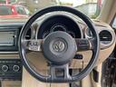 VOLKSWAGEN THE BEETLE