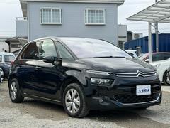 �ã� �ԥ��� ���������롼���֡�Ⱦǯ�ݾ��ա��ʥӡ��ϥǥ����Хå������ 9200619A30260124W001 6