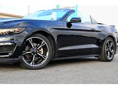 ޥ С֥롡ǯǥ롡Ծ񡡥ȥåƣءܳץ 9200620A30251026W001 2