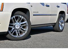 ǥå졼 ץʥࡡǥ롡¹ԡԾ 9200620A30251201W003 2