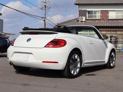 �����ӡ��ȥ롦���֥ꥪ��  9200620A30260124W001 2