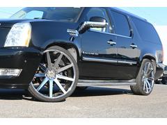 ����ǥ�å��������졼�� �ţӣ֡��饰���奢�꡼�����ףġ�����롼�ա������ܥ꡼�ܳץ����� 9200620A30260124W002 2