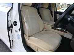 ���饦��ϥ��֥�å� ������륵�롼�󡡥��ȥ顼������������ե����ƥ��󥰥ʥӡ��ե륻���ԣ֡��ޥ�����������������������ס��ǥ����륤��ʡ��ߥ顼 9200620A30260201W001 4