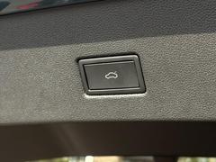 �ԡݥ��å� �ԣģɡ��֥�å��������롡�쥶�������ȡ��ɣѥ饤�ȡ����ã� 9200625A20260331X004 7