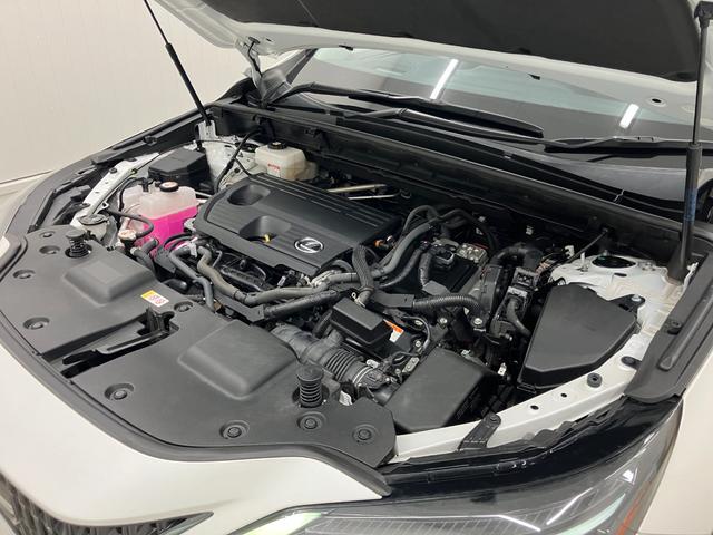LEXUS NX NX350H VERSION L
