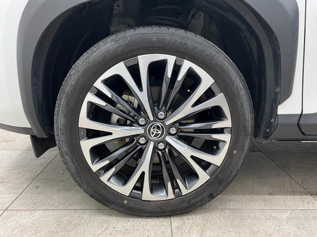 ���푽�l�ȎԎ킩�炨�C�ɓ���̈������ꏏ�ɂ��T�����܂���