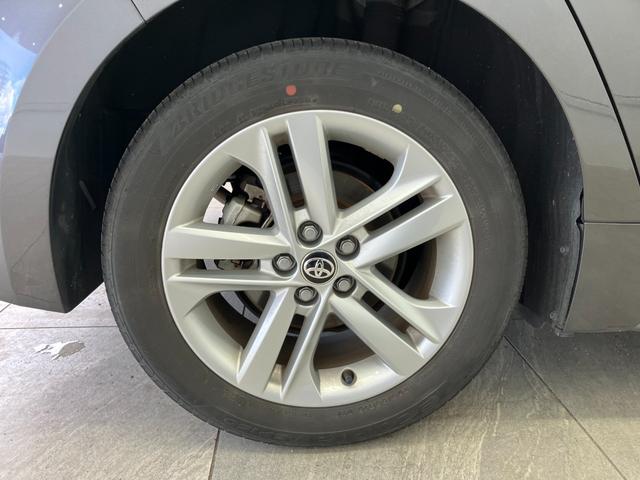 ���k���[���ɂ̓L�b�Y���[�����������Ă��܂��̂ŁA�������Ƃ��Ԃ����I�т��������܂��I