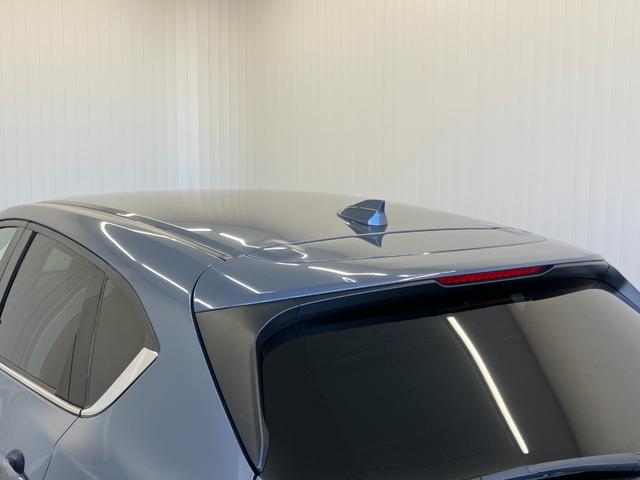 ���k���[���ɂ̓L�b�Y���[�����������Ă��܂��̂ŁA�������Ƃ��Ԃ����I�т��������܂��I