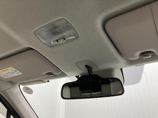 ���k���[���ɂ̓L�b�Y���[�����������Ă��܂��̂ŁA�������Ƃ��Ԃ����I�т��������܂��I