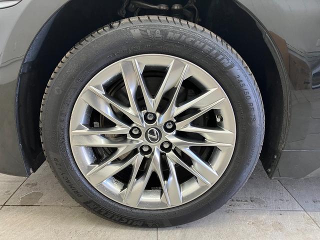 ���푽�l�ȎԎ킩�炨�C�ɓ���̈������ꏏ�ɂ��T�����܂���