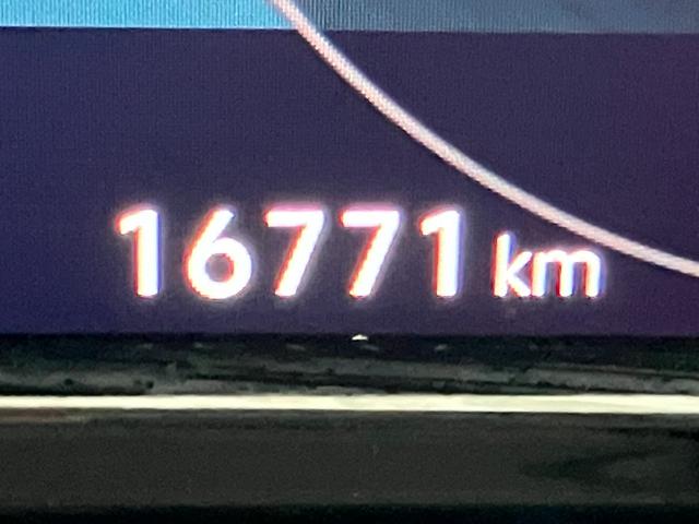 ���푽�l�ȎԎ킩�炨�C�ɓ���̈������ꏏ�ɂ��T�����܂���