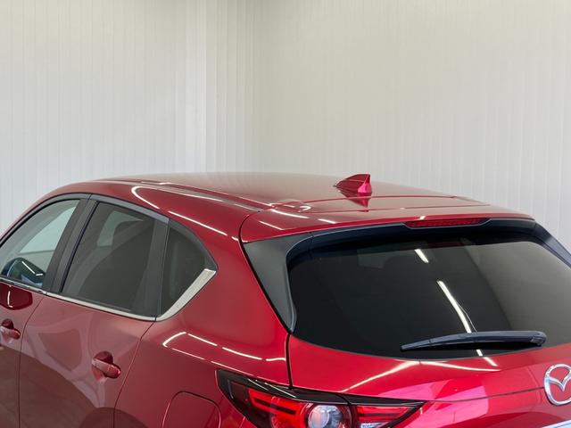 ���k���[���ɂ̓L�b�Y���[�����������Ă��܂��̂ŁA�������Ƃ��Ԃ����I�т��������܂��I